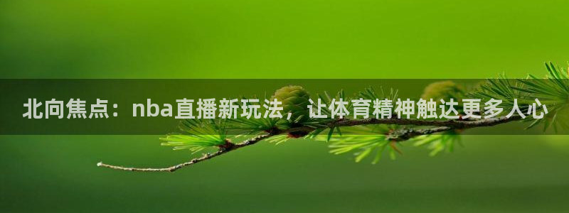 飞速直播nba免费直播在线观看：北向焦点：nba直播新玩法，让体育精神触达更多人心