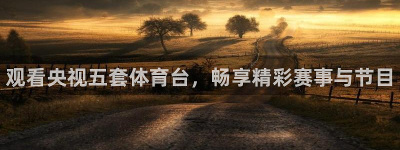 飞速直播在线：观看央视五套体育台，畅享精彩赛事与节目