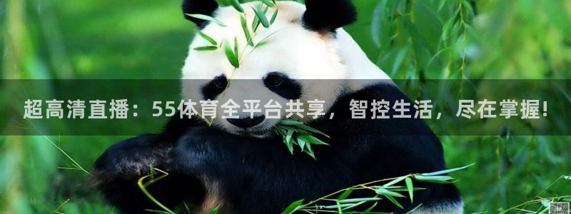 nba飞速直播在线观看免费：超高清直播：55体育全平台共享，智控生活，尽在掌握!